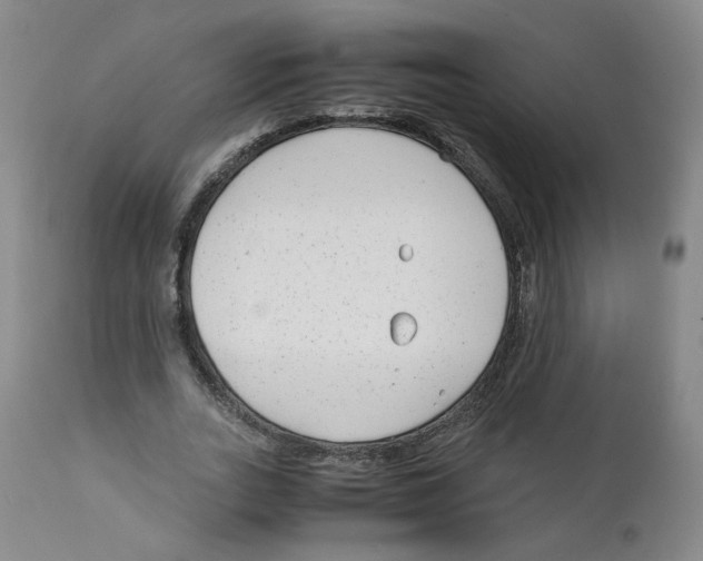 X0000111920727200908241050