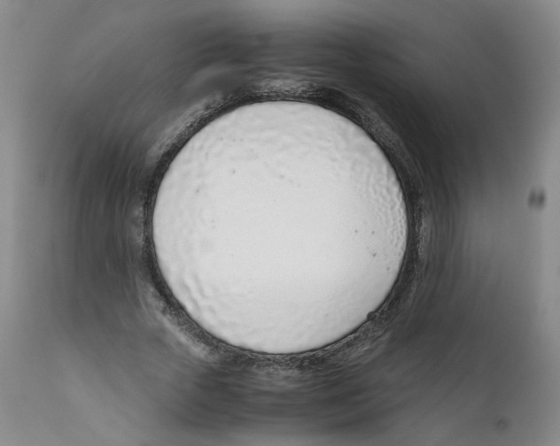 X0000111920729200908241050