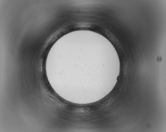 X0000111920731200908241050