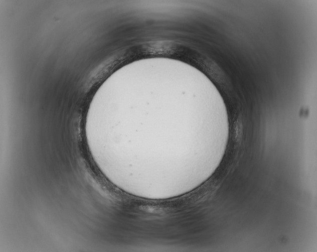 X0000111920733200908241050