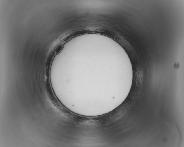 X0000111920734200908241050