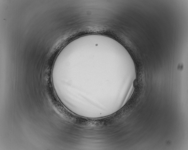 X0000111920736200908241050