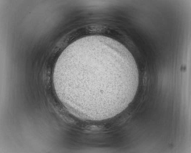 X0000111920737200908241050