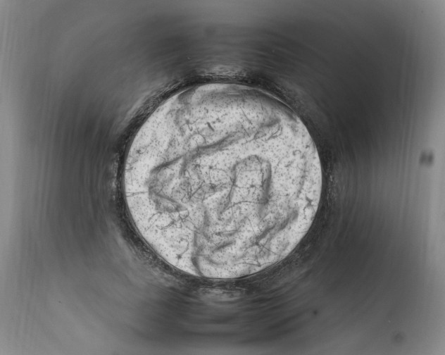 X0000111920739200908241050