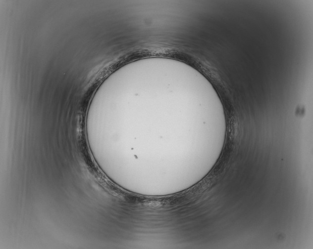 X0000111920740200908241050