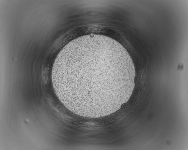 X0000111920741200908241050