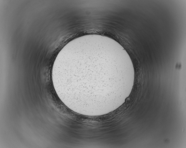 X0000111920743200908241050