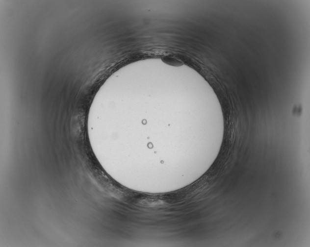 X0000111920747200908241050