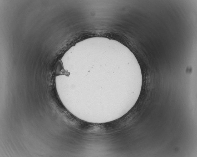 X0000111920750200908241050