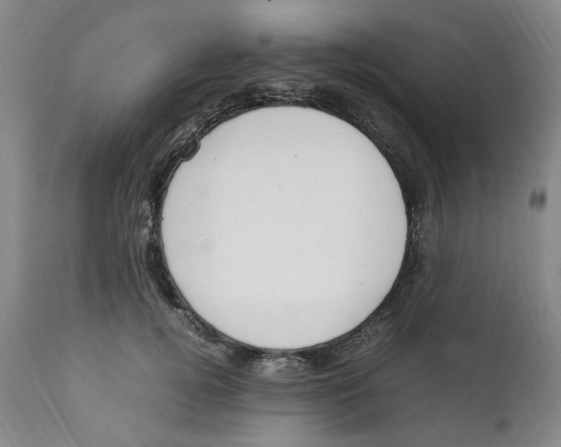 X0000111920752200908241051