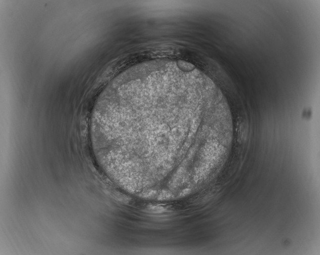 X0000111920753200908241051