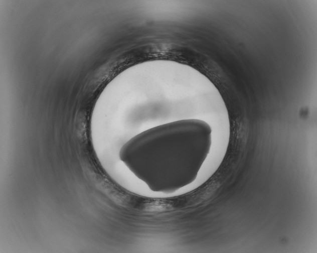 X0000111920754200908241051