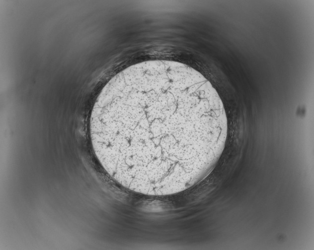 X0000111920755200908241051