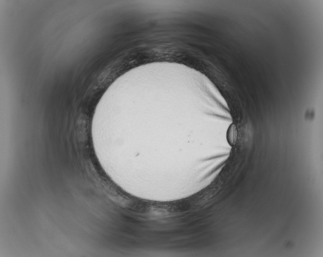 X0000111920757200908241051