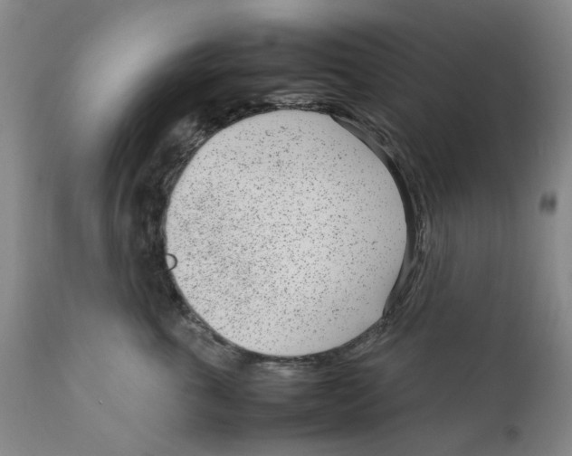 X0000111920763200908241051