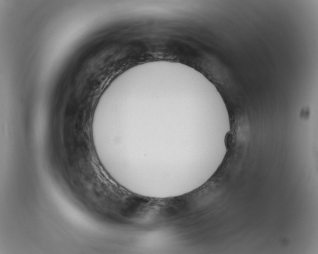 X0000111920764200908241051