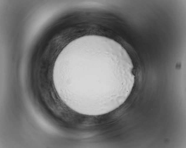 X0000111920765200908241051