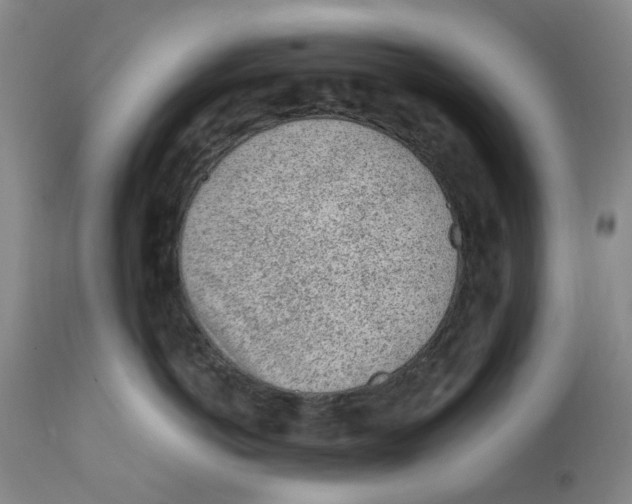 X0000111920766200908241051