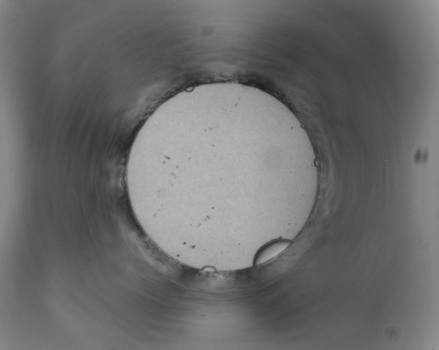 X0000111920768200908241051