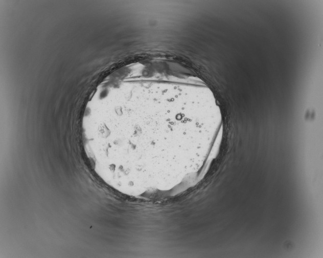 X0000111920769200908241050