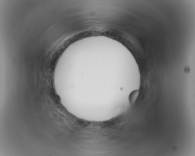 X0000111920773200908241050