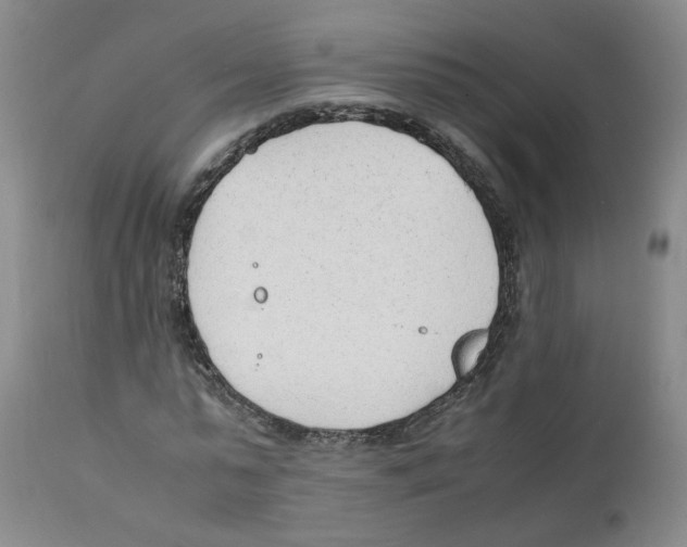 X0000111920775200908241050