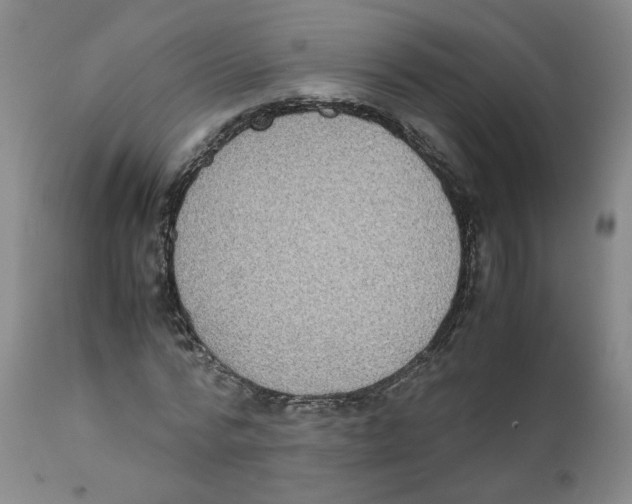 X0000111920776200908241050