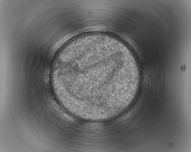 X0000111920778200908241050