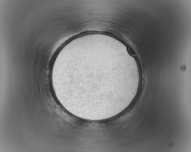 X0000111920779200908241050