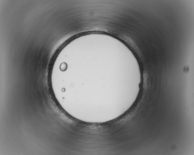 X0000111920780200908241050