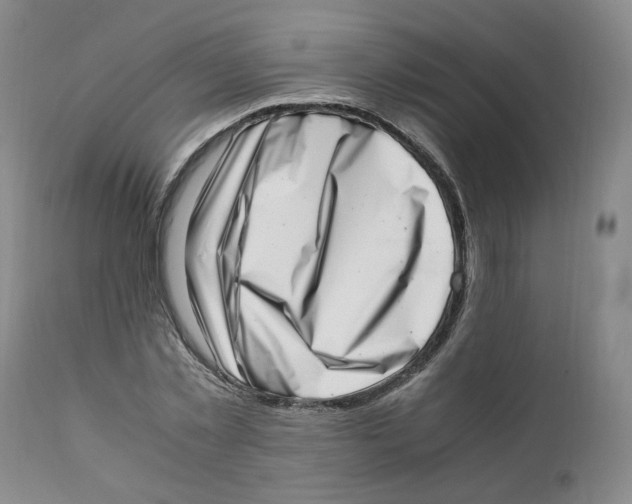 X0000111920781200908241050