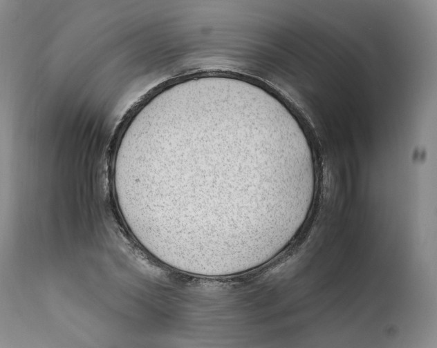 X0000111920782200908241050