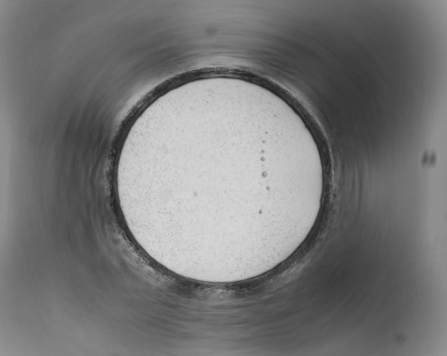 X0000111920783200908241050