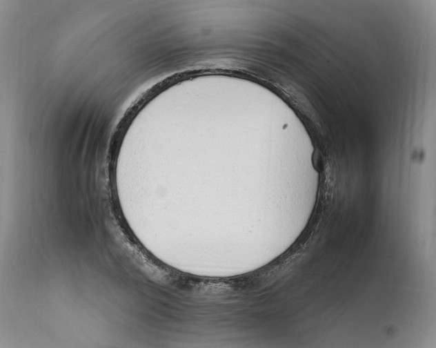 X0000111920784200908241050