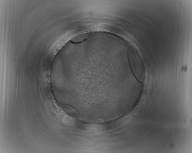 X0000111920785200908241050