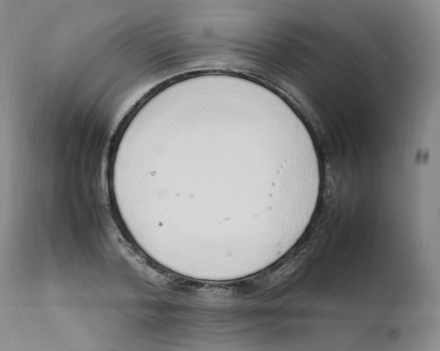 X0000111920788200908241050