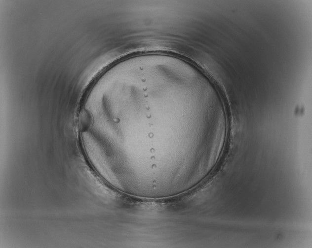 X0000111920789200908241050