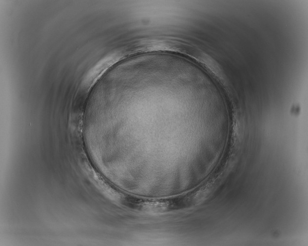 X0000111920793200908241050