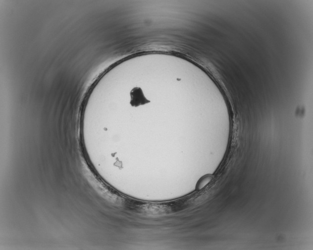 X0000111920795200908241050