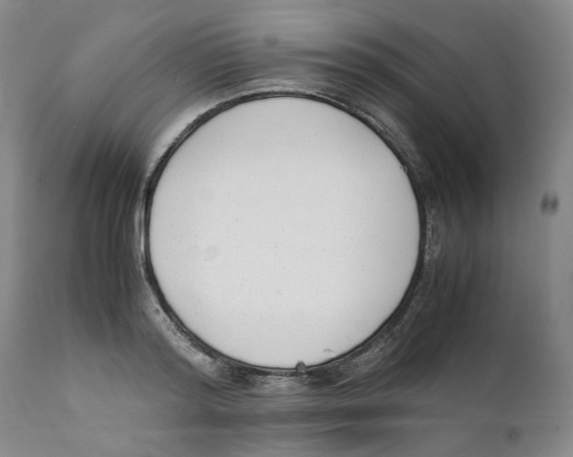 X0000111920796200908241050