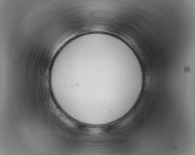 X0000111920798200908241050