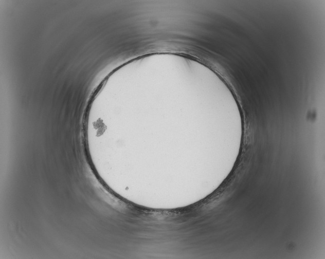 X0000111920803200908241050