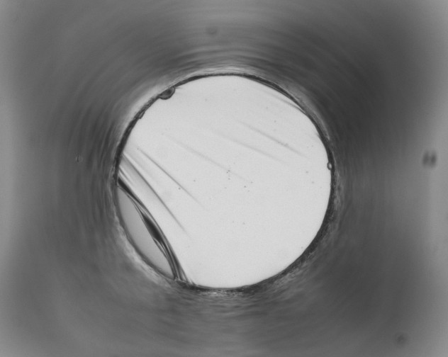 X0000111920805200908241050