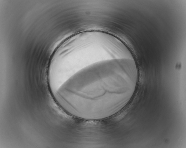 X0000111920806200908241050