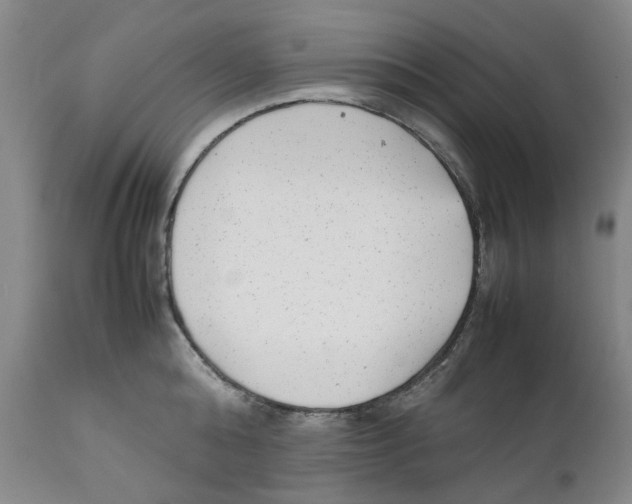 X0000111920808200908241050