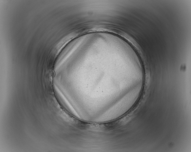 X0000111920809200908241050