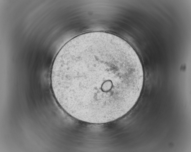 X0000111920810200908241050