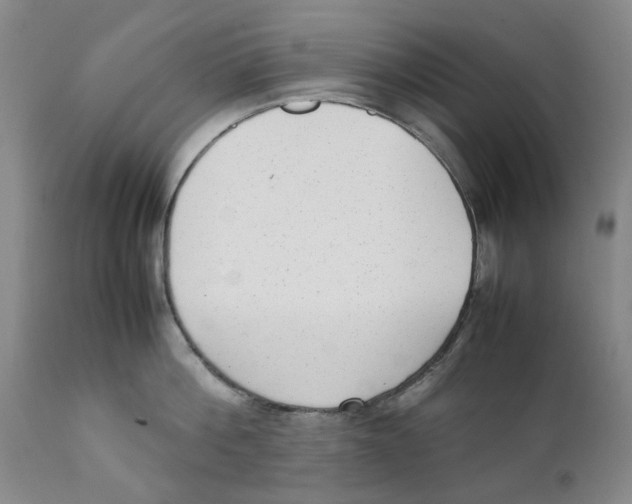 X0000111920812200908241049