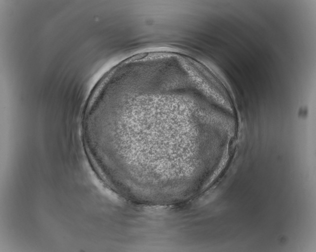 X0000111920813200908241049