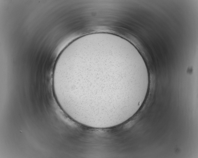 X0000111920814200908241049